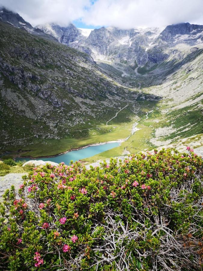 Готель Rifugio Stella Alpina Saviore dell'Adamello Екстер'єр фото