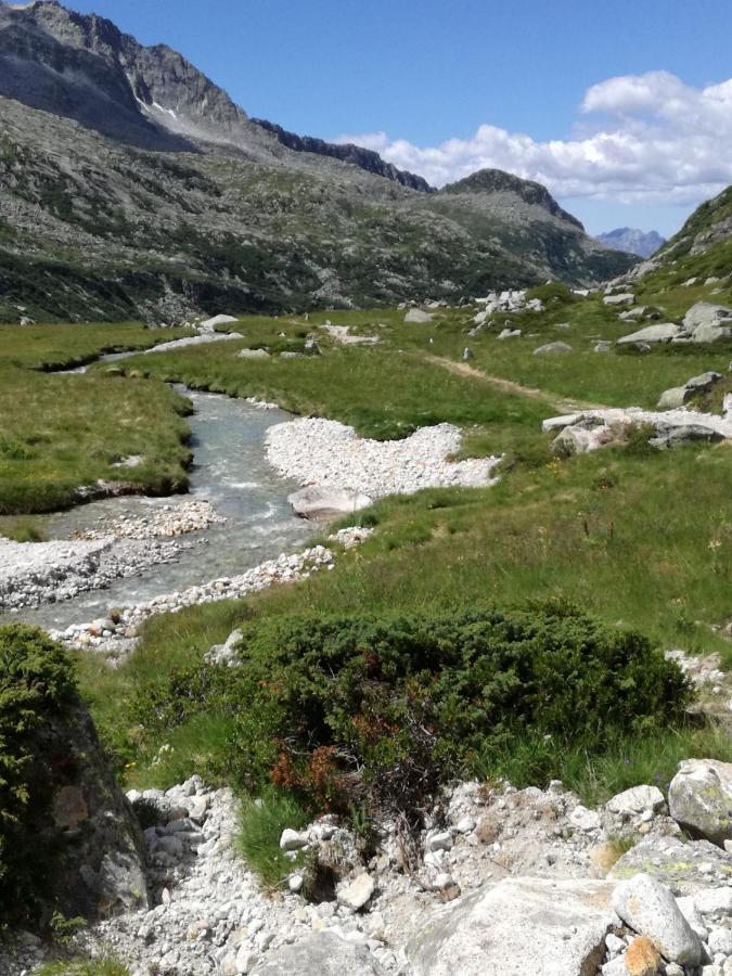 Готель Rifugio Stella Alpina Saviore dell'Adamello Екстер'єр фото